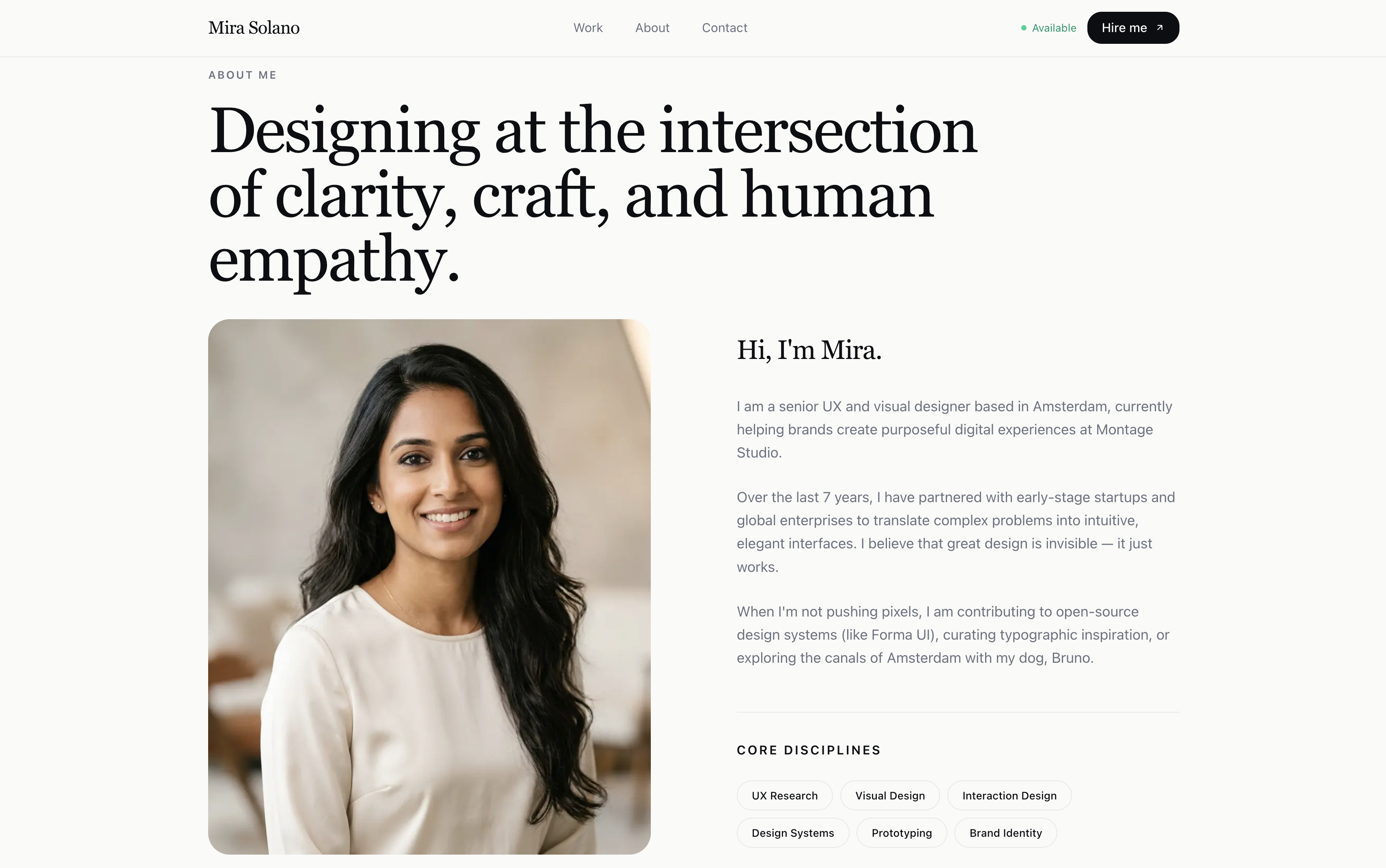LinkedIn Style Developer Portfolio Preview 2